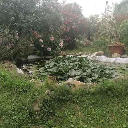 Charming In 90 M² Private Garden San Mauro Pascoli